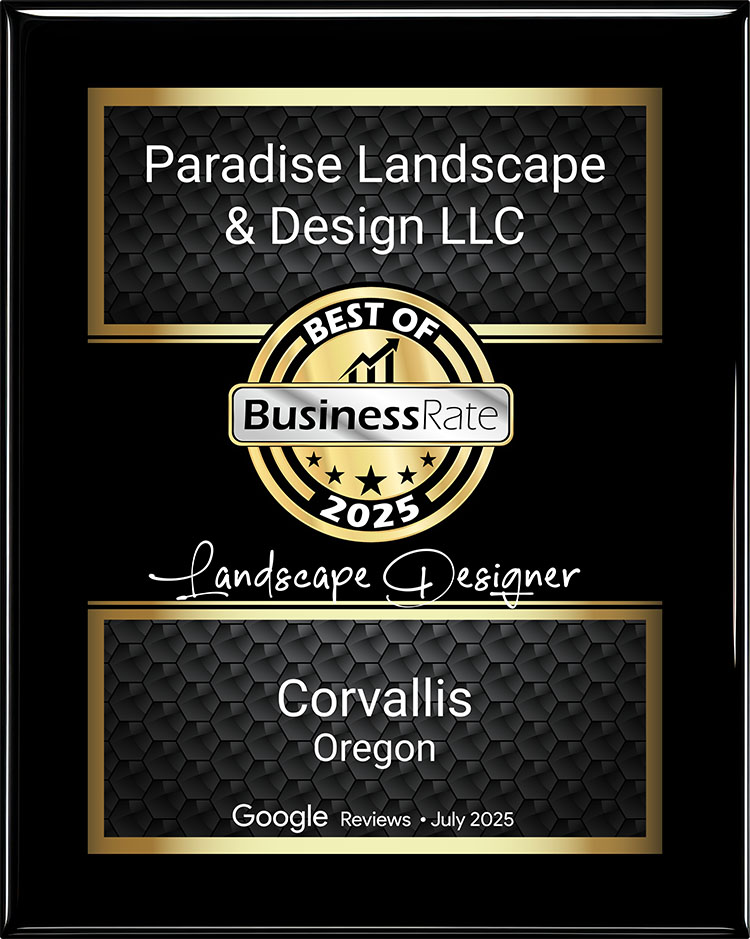 Google Reviews Award